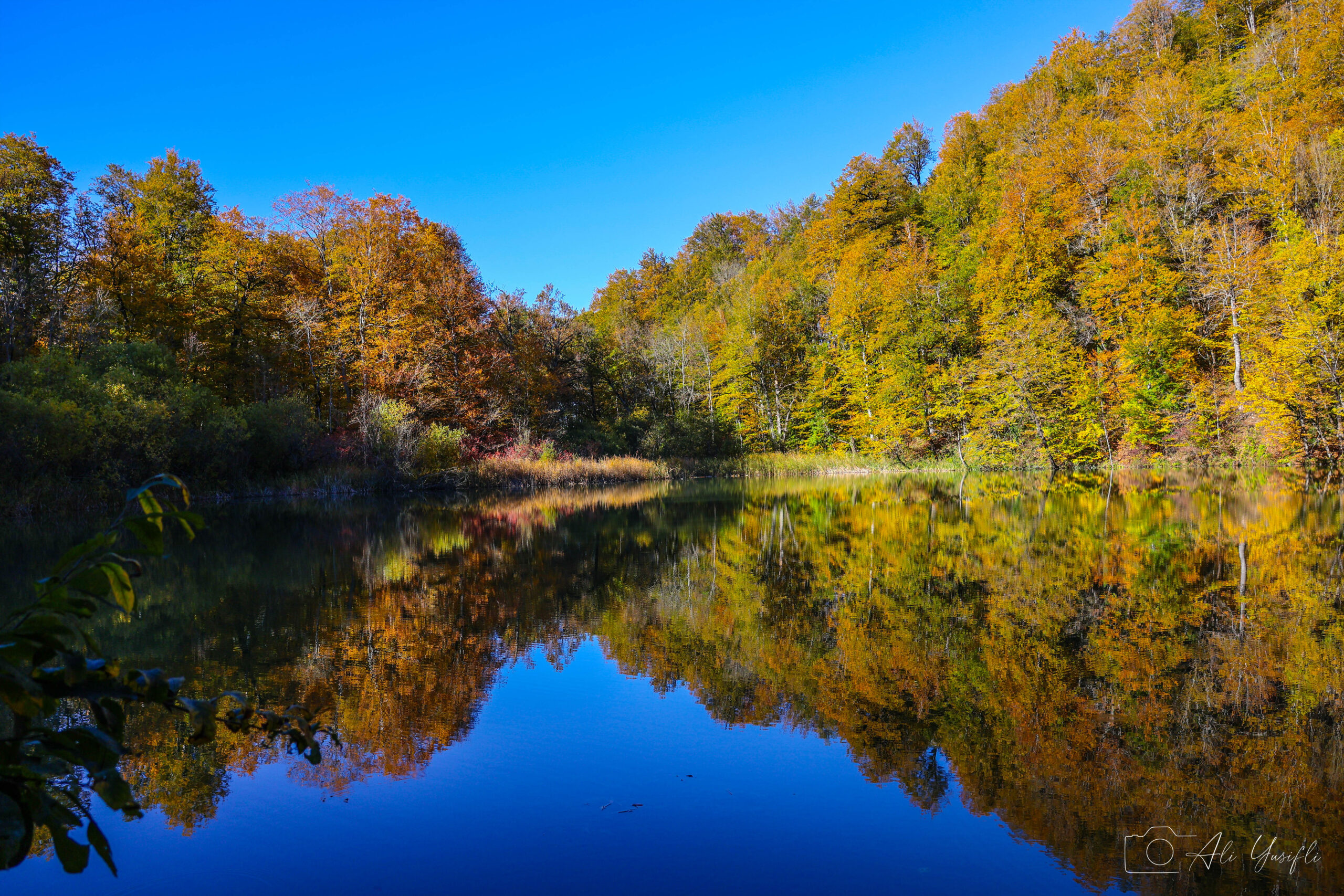 Ambil lake in Autumn