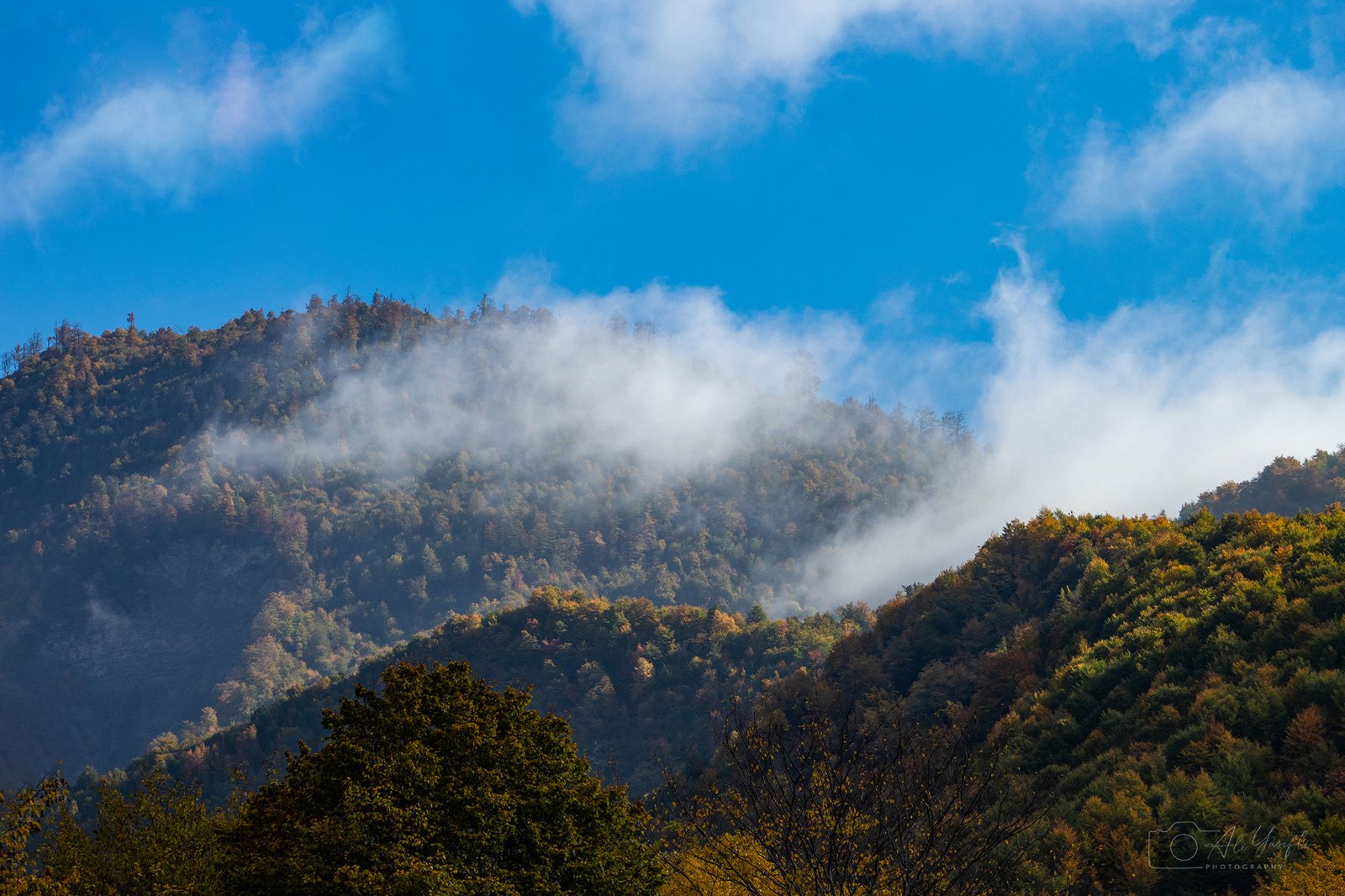 An Autumn Scene